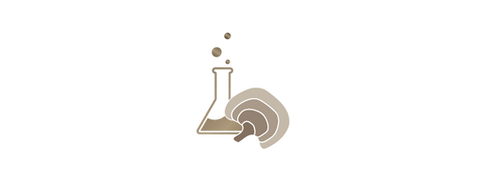 Dynamic Extraction and Concentration Technologies