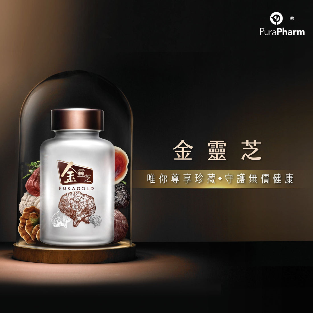 金靈芝® 90粒